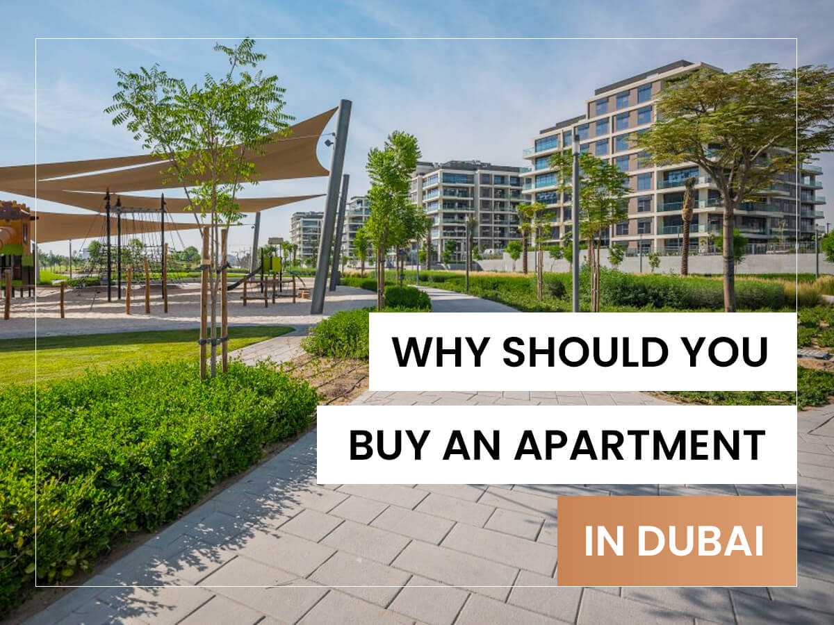 Buy An Apartment In Dubai